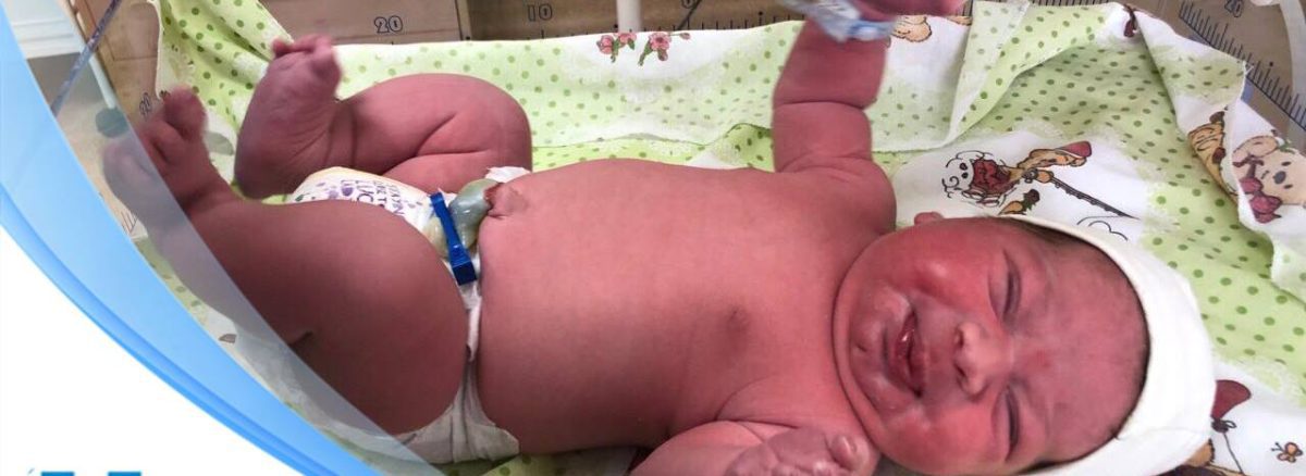 ანდრია ბეგაშვილი