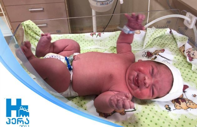 ანდრია ბეგაშვილი